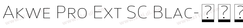 Akwe Pro Ext SC Blac字体转换